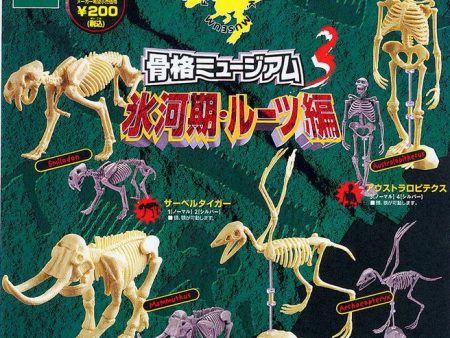 Epoch Framework Skeletal Skeleton Museum Gashapon Ice Age Ver 4+4 8 3  Collection Figure Set on Sale