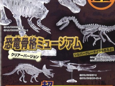 Epoch Gashapon Dinosaur Skeleton Museum 8 Crystal Ver Figure Set For Sale